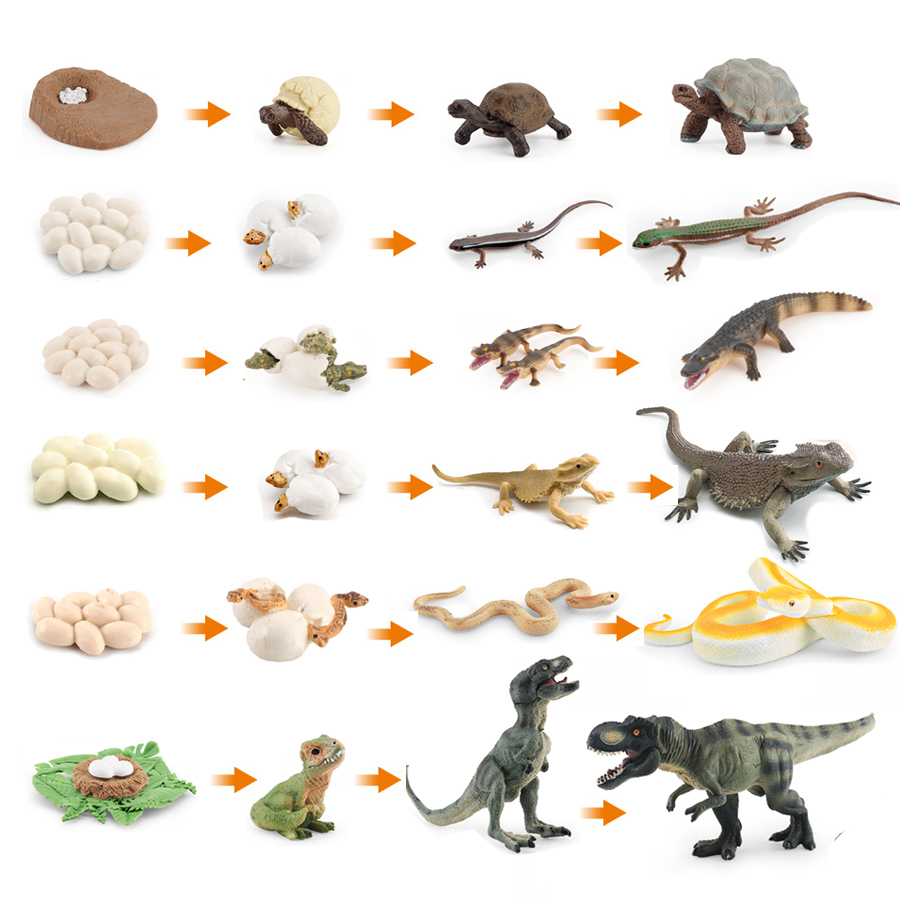 Simulação dinossauro lagarto t - Model Kit Lizard avaliação e preço