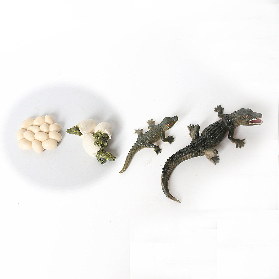 Simulação dinossauro lagarto t - Model Kit Lizard avaliação e preço